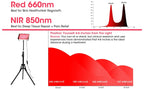 Red Light Therapy Device – 96 LED Dual Wavelength Panel with Adjustable Stand
